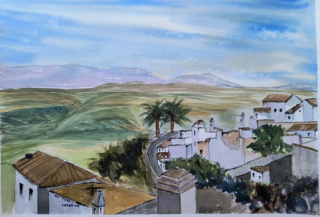 Vejer