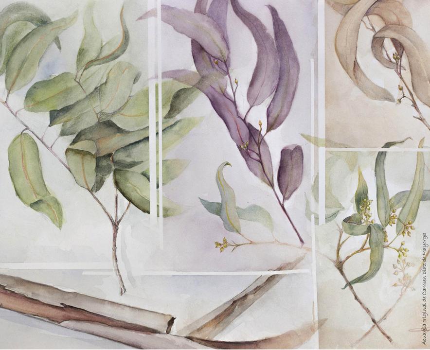 Imagen del evento: Acuarelas en la Biblioteca