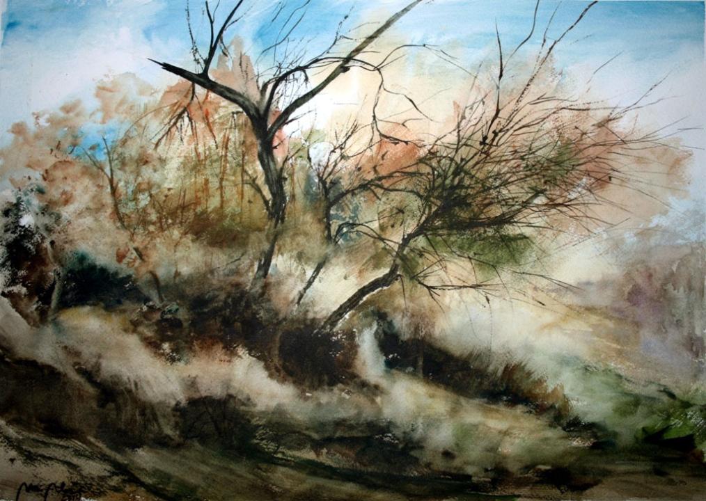 Imagen del evento: Conferencia. Ponente por confirmar